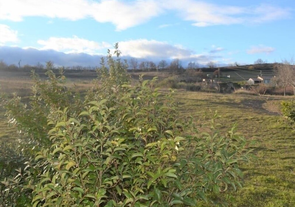 Photo of Outdoor in Vagnas