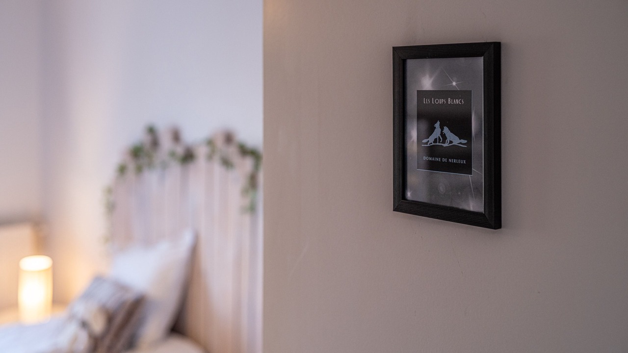 Photo of Bedroom in Saint-Cyr-en-Bourg