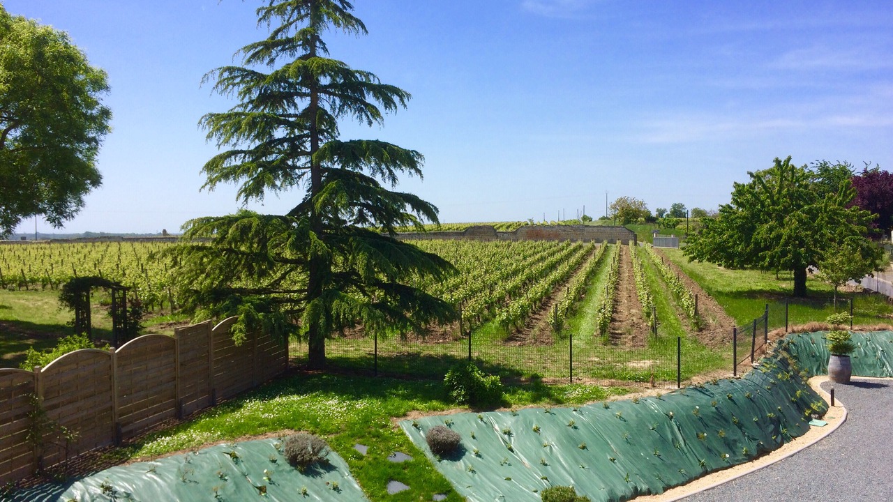 Photo of Outdoor in Saint-Cyr-en-Bourg