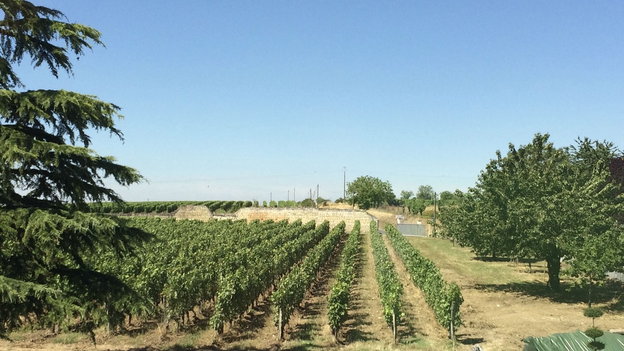 Photo of Outdoor in Saint-Cyr-en-Bourg
