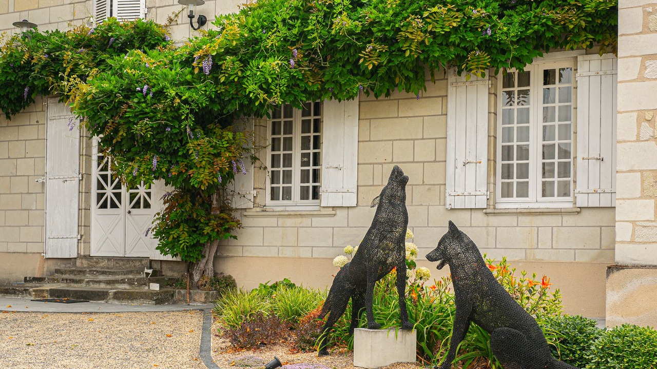 Photo of Outdoor in Saint-Cyr-en-Bourg