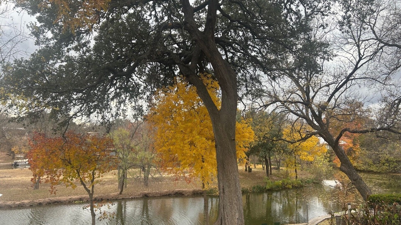 Photo of Others in Marble Falls