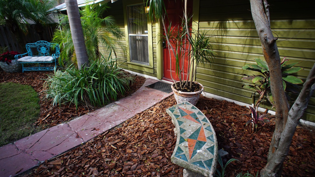 Photo of Outdoor in Seminole Heights