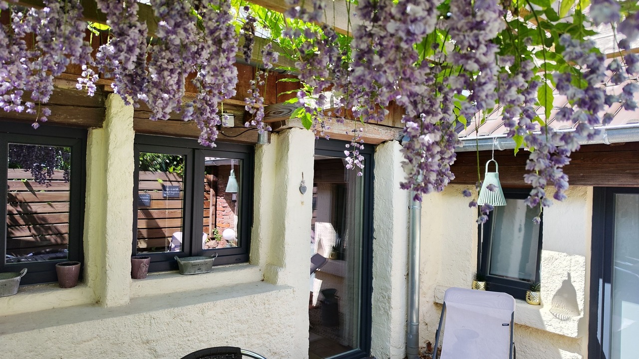 Photo of Outdoor in Birkenwald