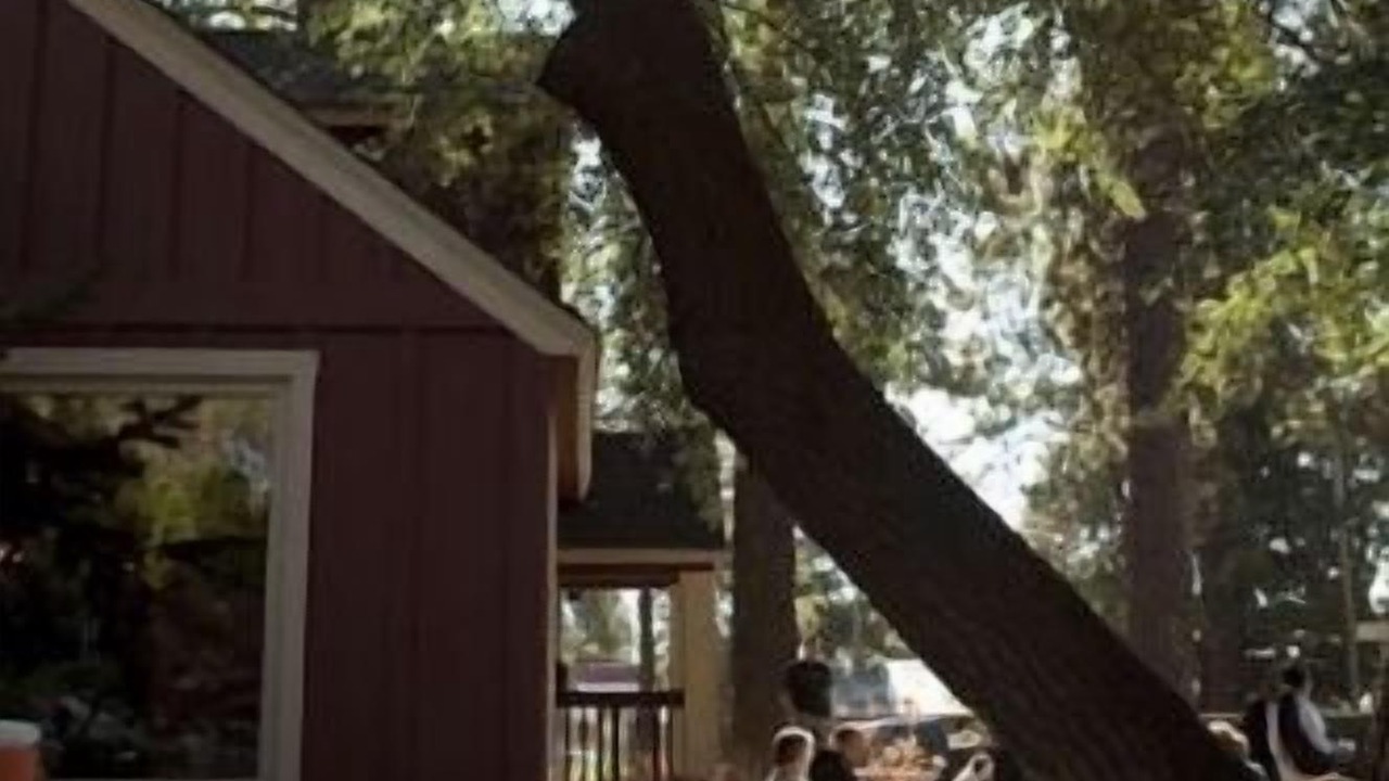 Photo of Others in River West