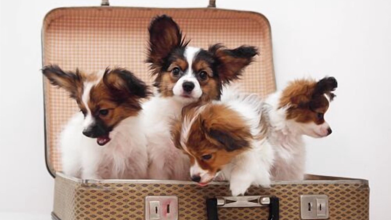 Photo of Others in River West