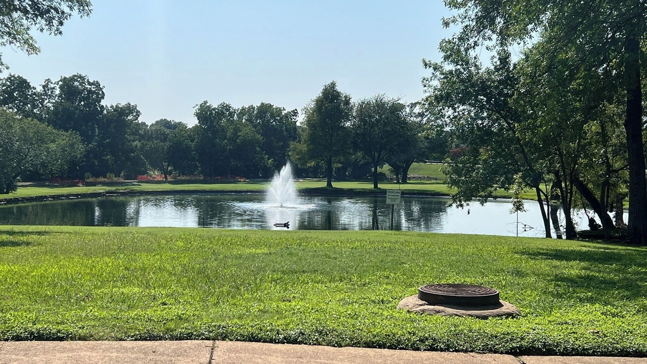 Photo of Outdoor in Garland