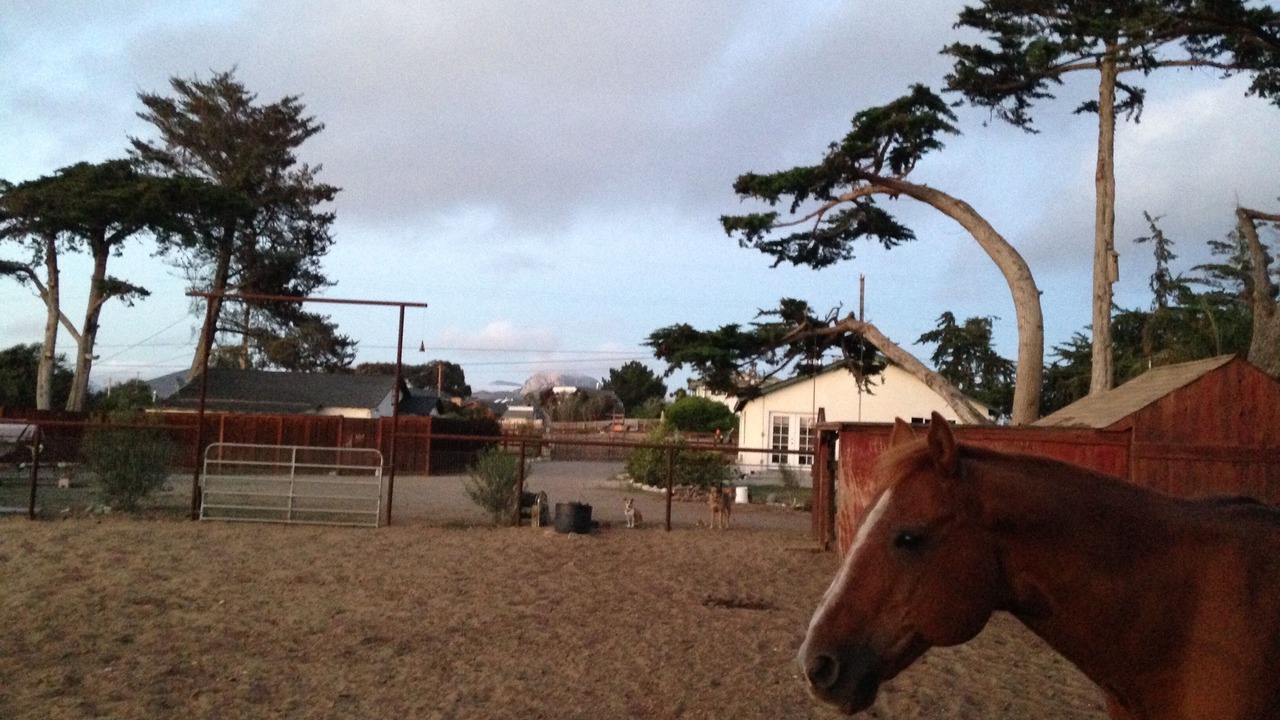 Photo of Others in Baywood-Los Osos