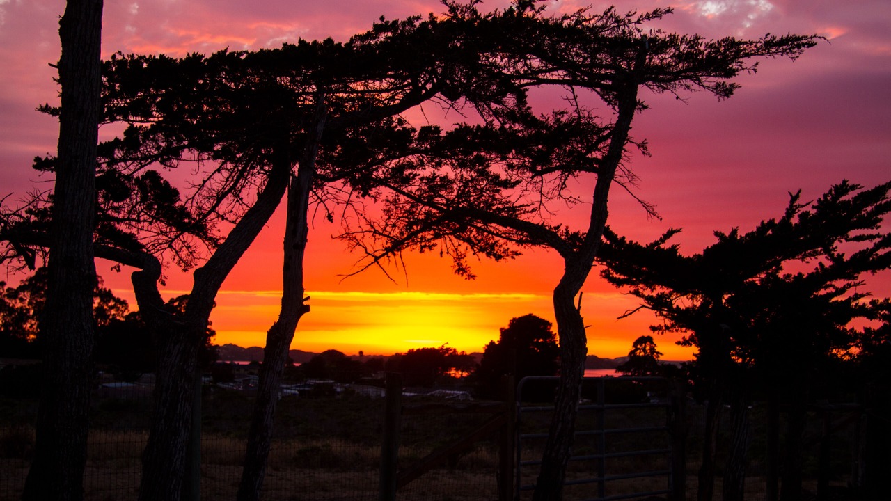 Photo of Outdoor in Baywood-Los Osos