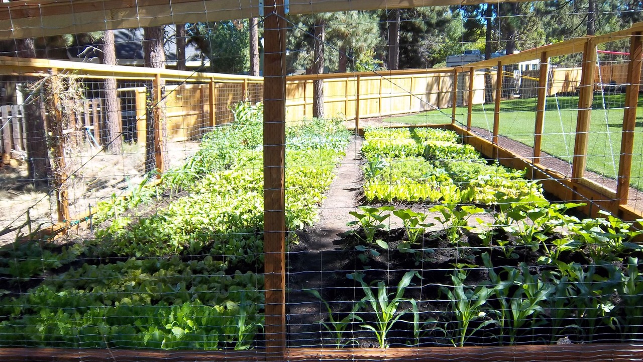 Photo of Outdoor in Bend