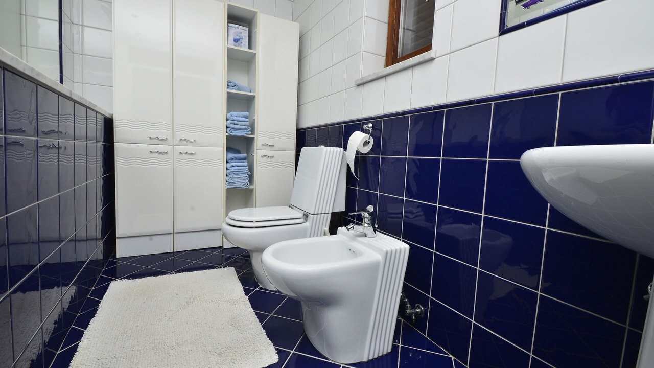 Photo of Bathroom in Lozica
