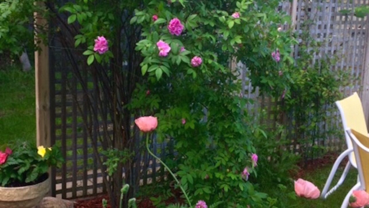 Photo of Outdoor in Southampton
