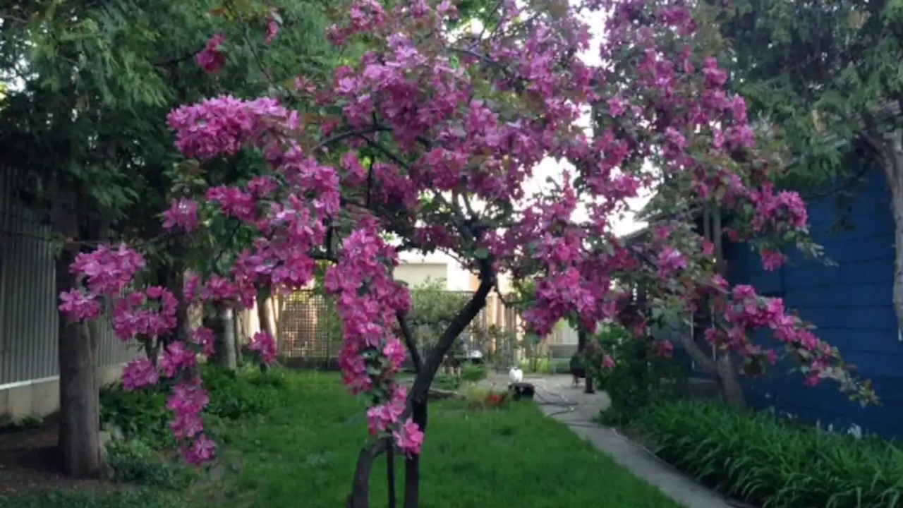 Photo of Outdoor in Southampton