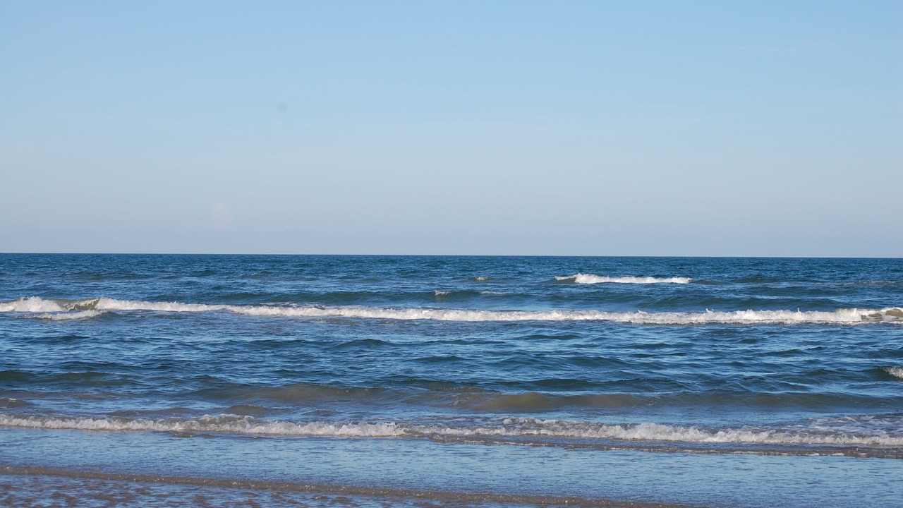 Photo of Others in Corpus Christi