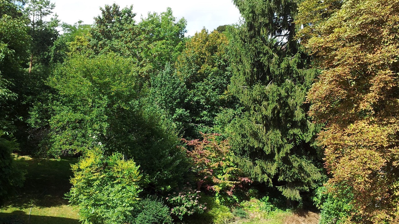 Photo of Outdoor in Larchant