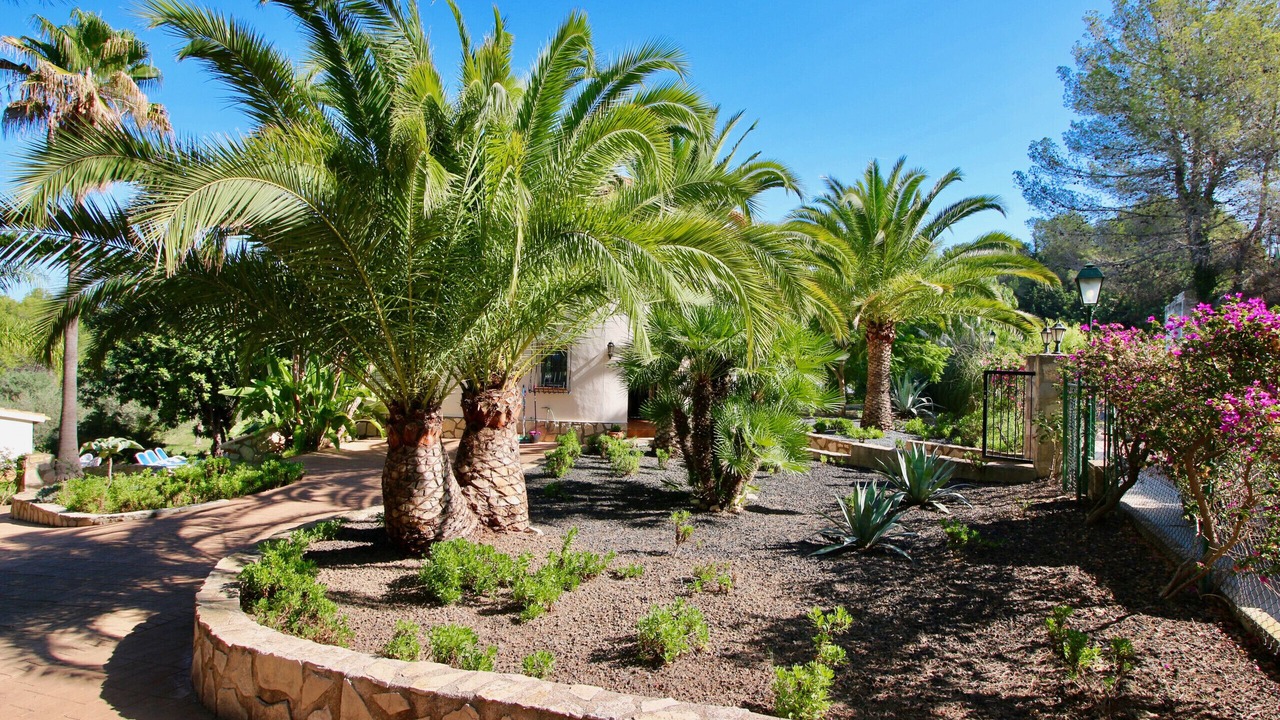 Photo of Outdoor in Pedreguer