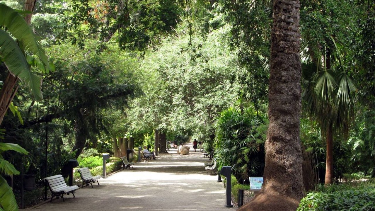 Photo of Others in El Botanic