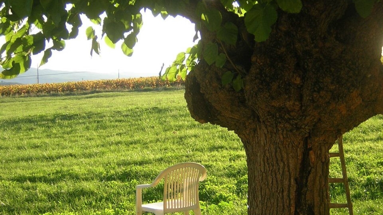 Photo of Outdoor in Tornac