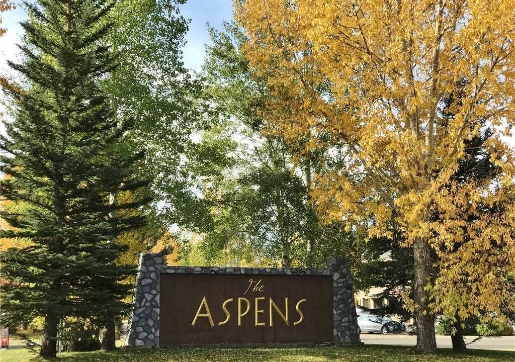 Photo of Others in Moose Wilson Road