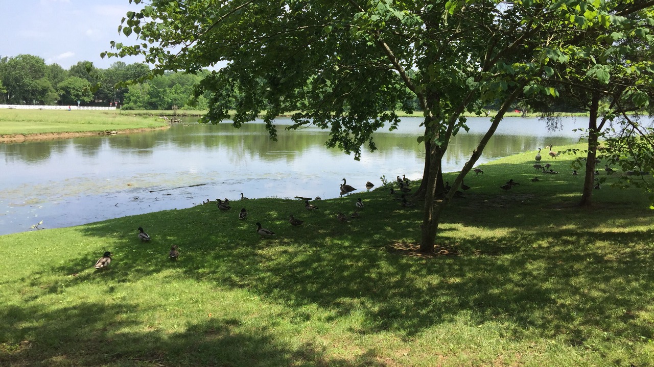 Photo of Others in Nashboro Village