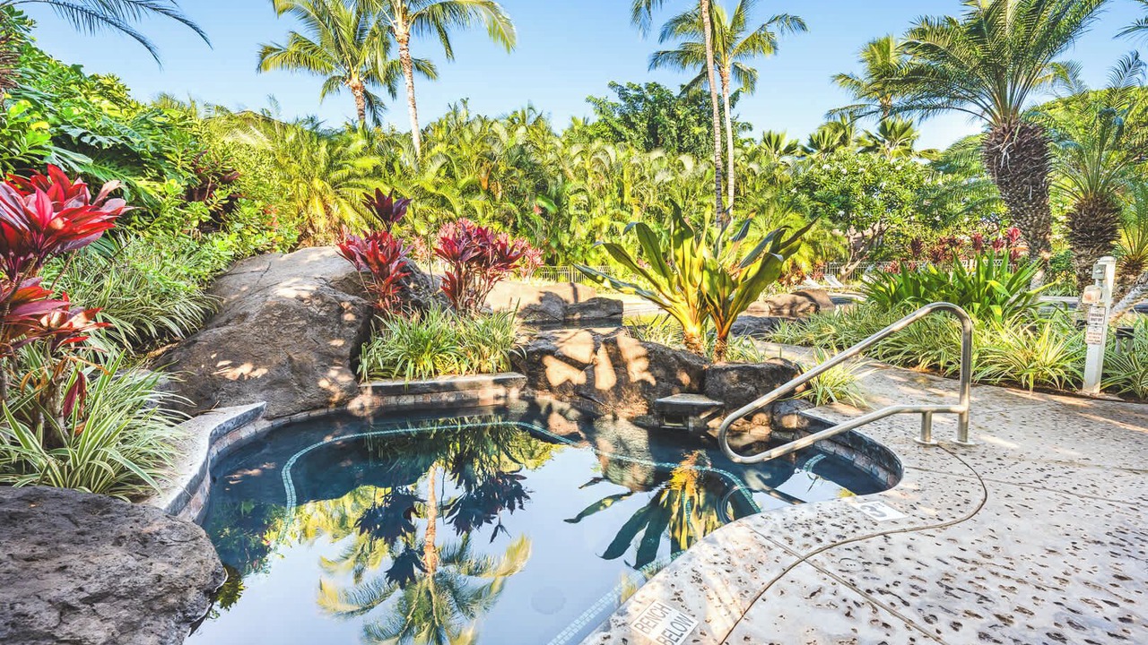 Photo of Outdoor in Kamuela