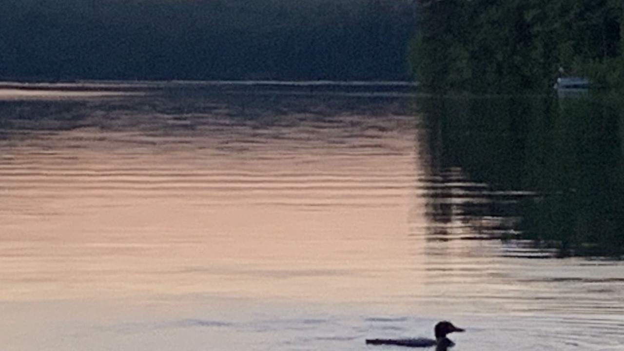 Photo of Others in New Gloucester