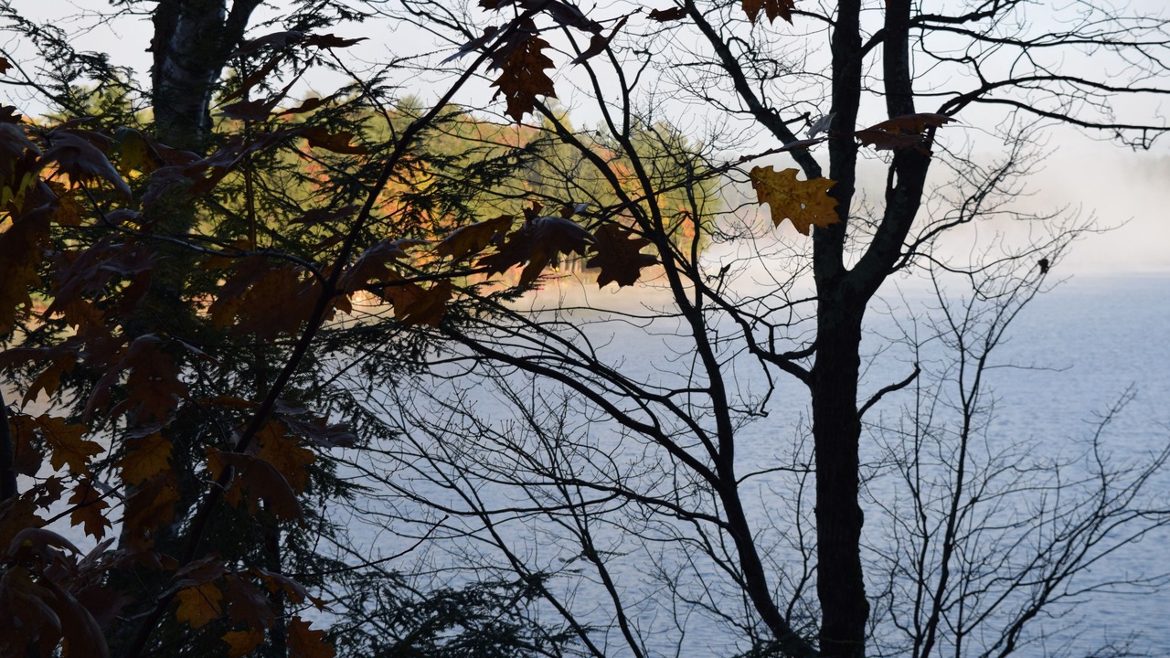 Photo of Outdoor in New Gloucester