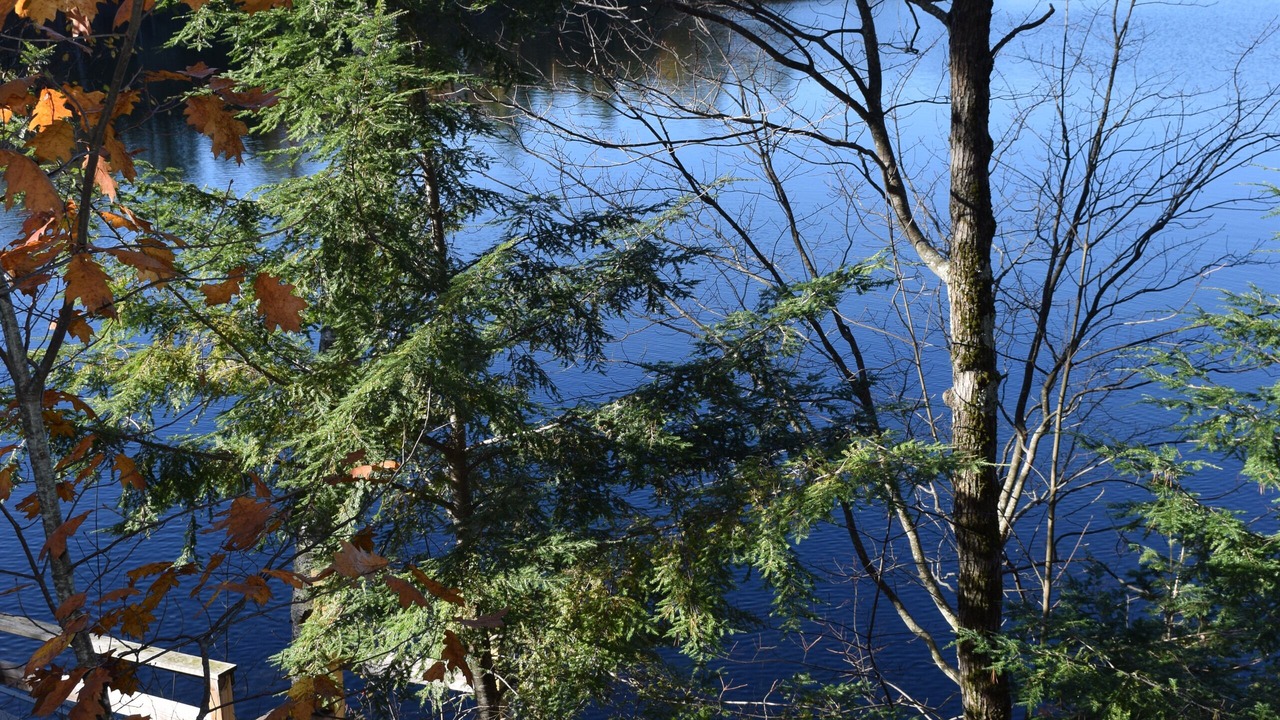 Photo of Outdoor in New Gloucester