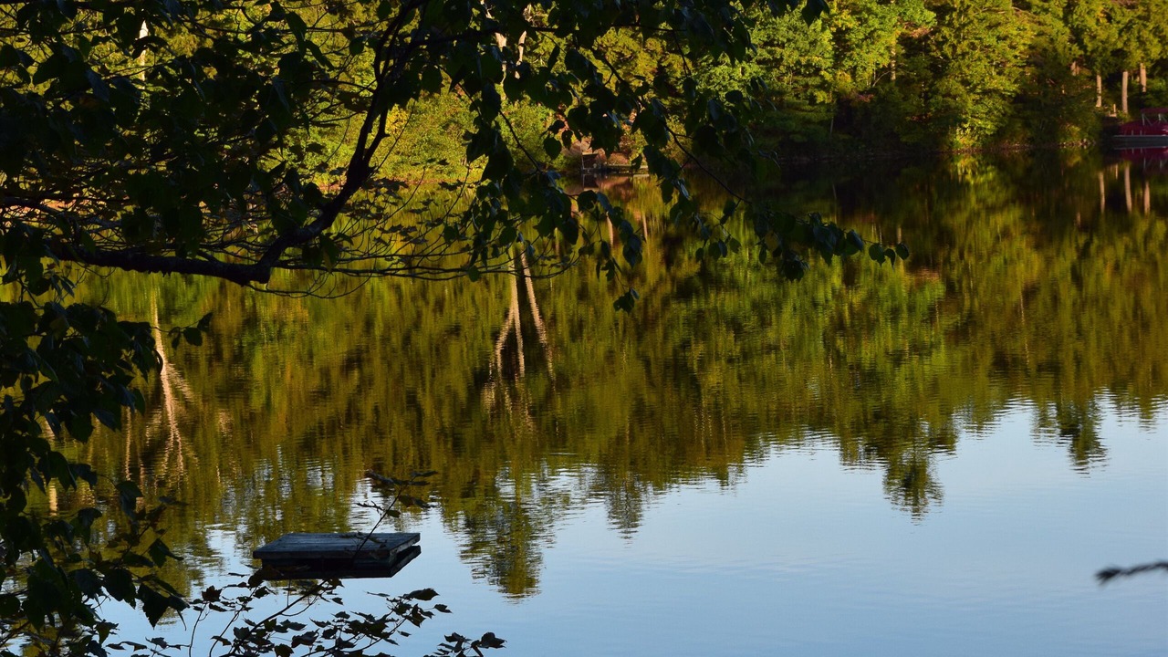 Photo of Outdoor in New Gloucester