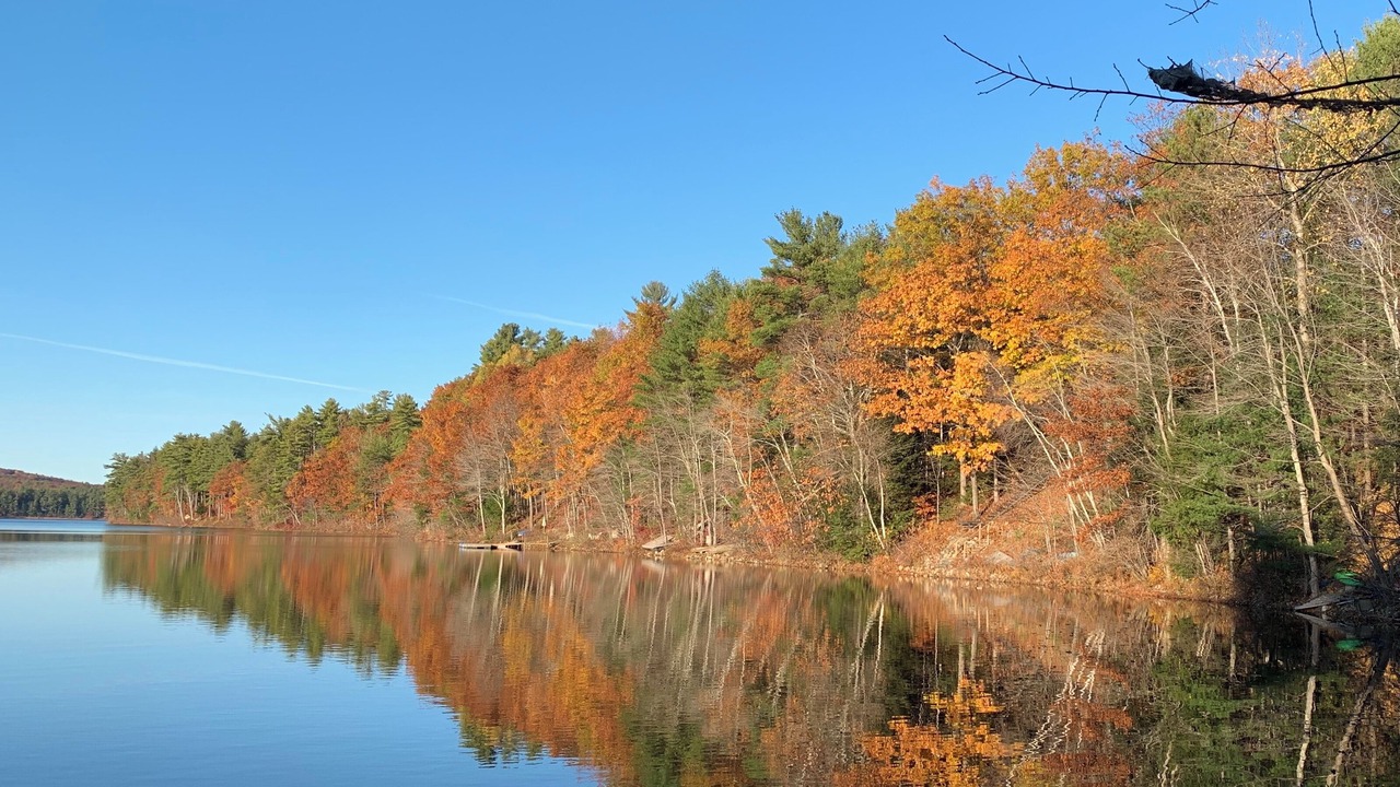 Photo of Outdoor in New Gloucester