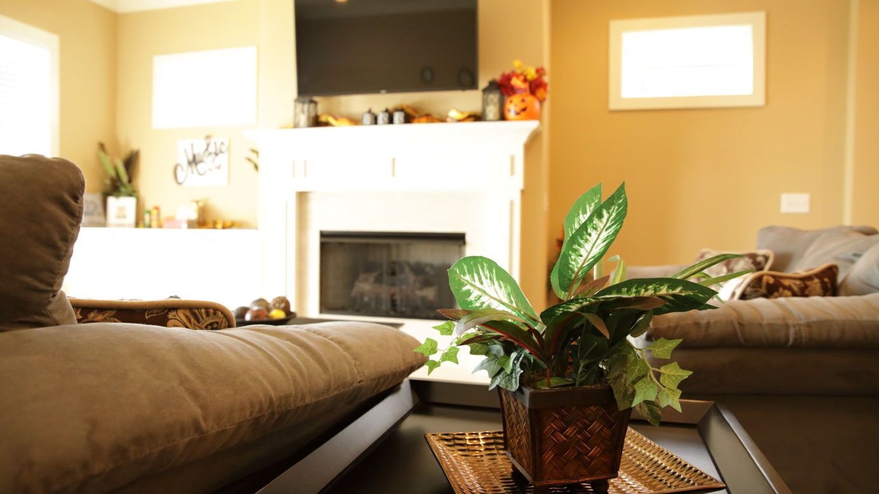 Photo of Livingroom in Haynes Area
