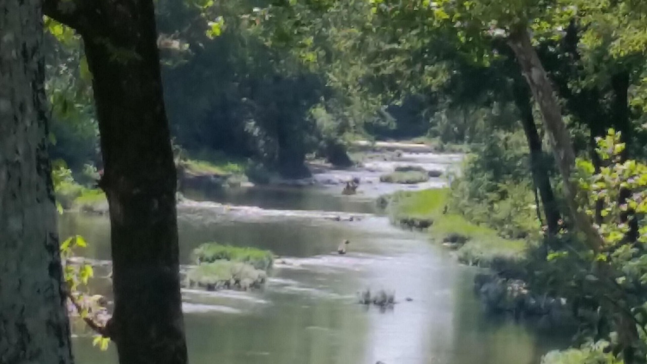 Photo of Others in Glenwood
