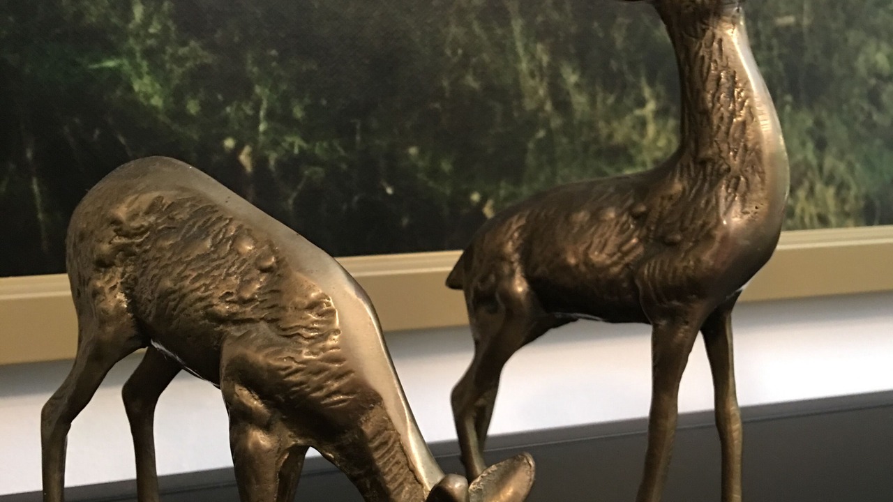 Photo of Others in Clayton