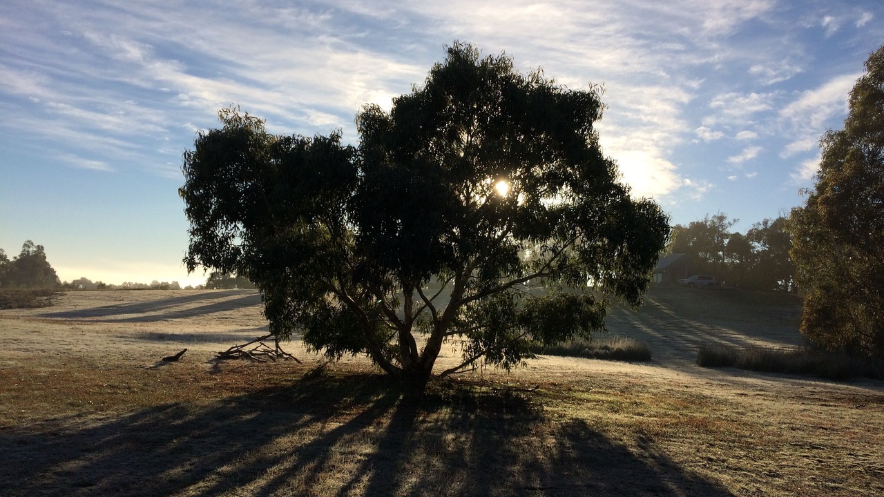 Photo of Others in Halls Gap
