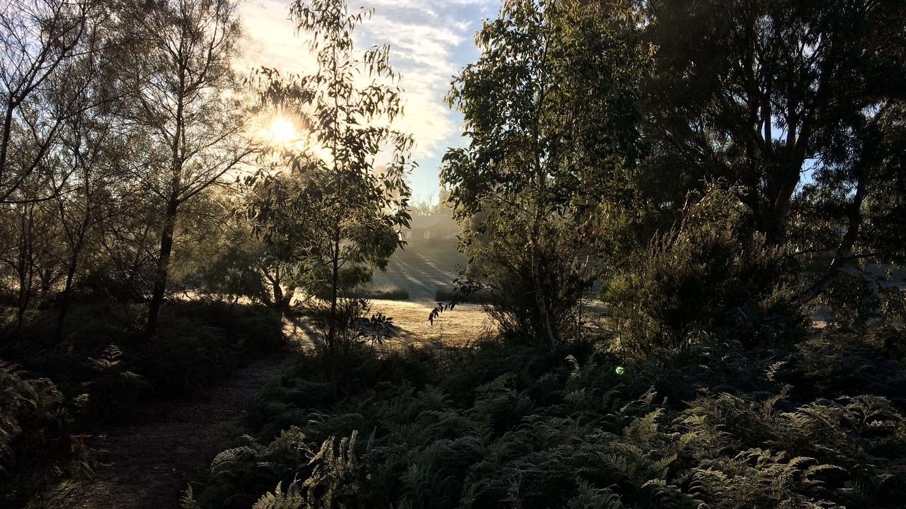 Photo of Others in Halls Gap