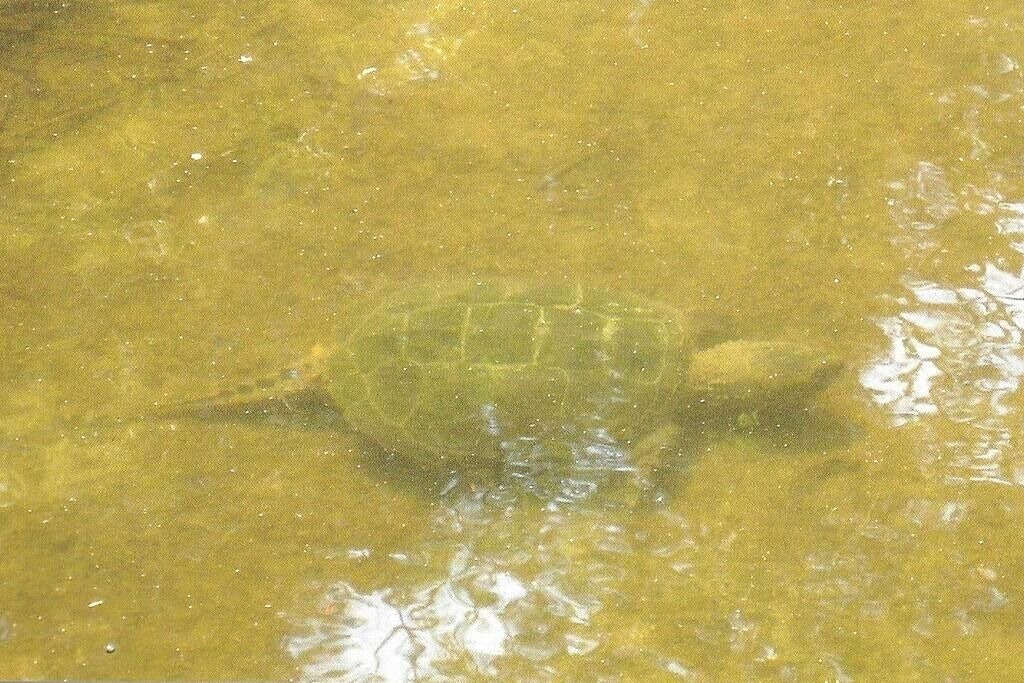 Photo of Others in Bellvale