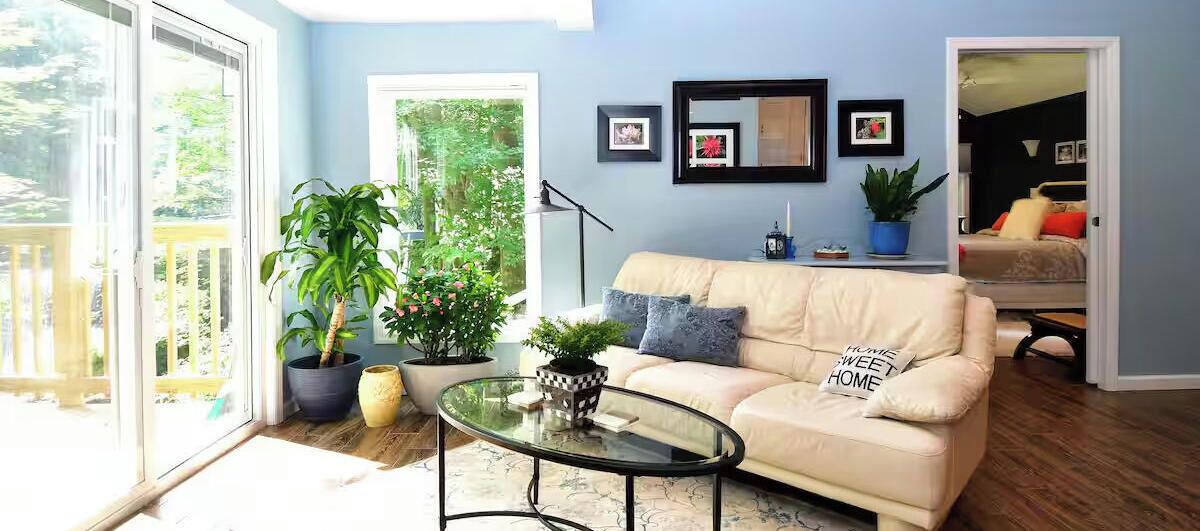 Photo of Livingroom in Bellvale