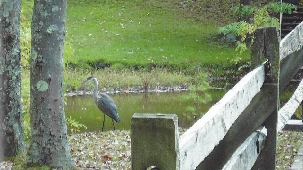 Photo of Others in Bellvale
