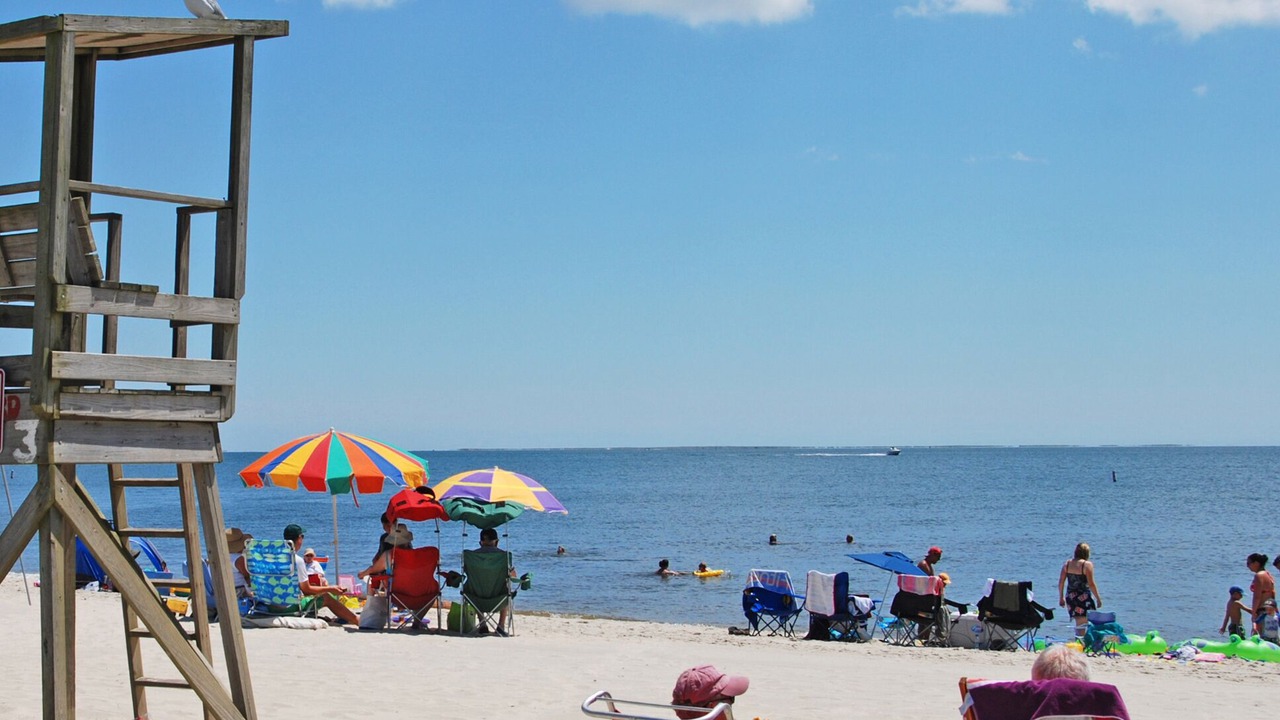 Photo of Others in Northwest Harwich