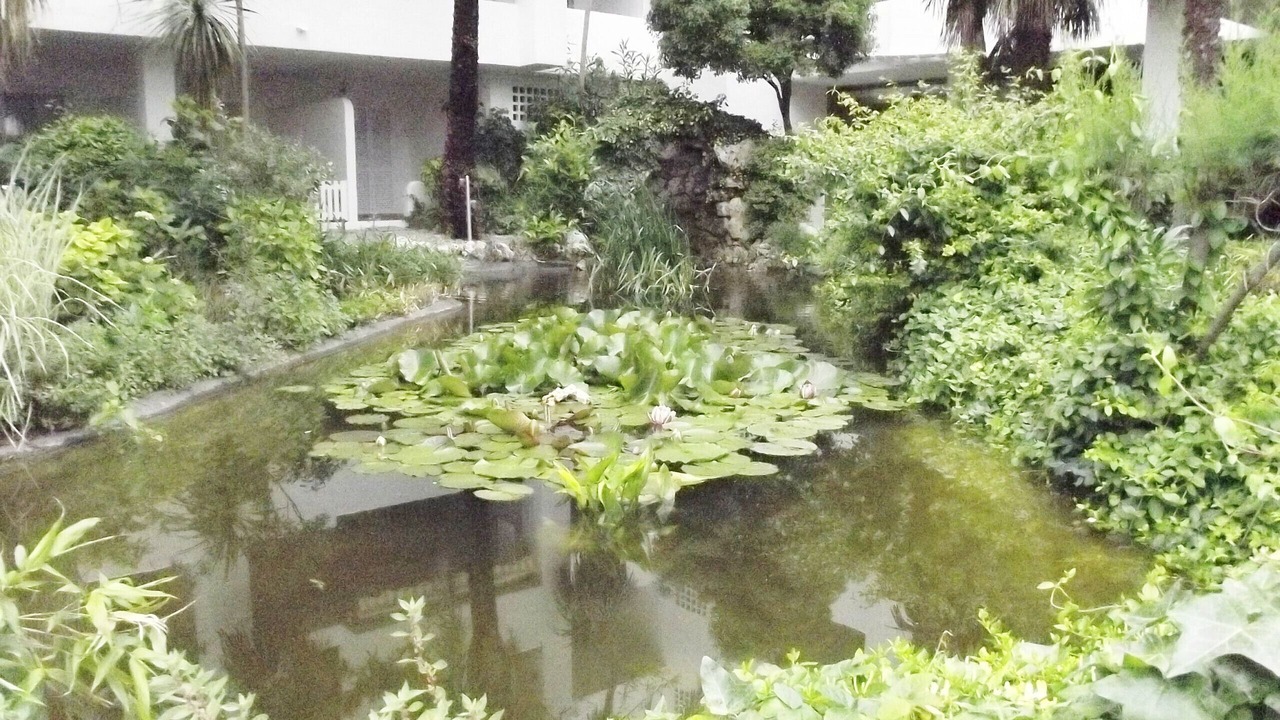 Photo of Outdoor in Santa Margarida