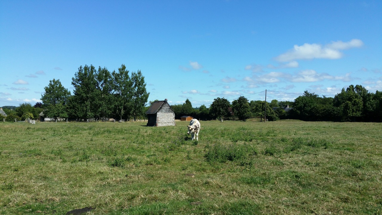 Photo of Others in Ablon