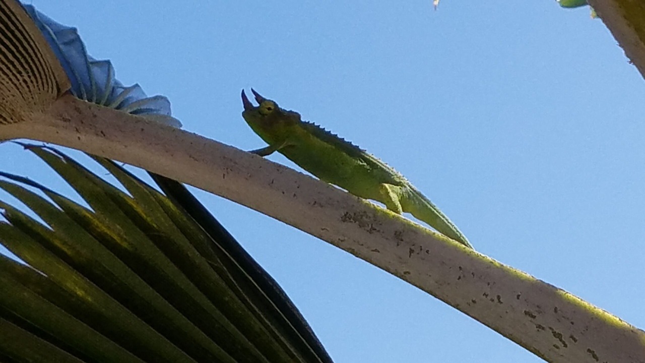 Photo of Outdoor in Mark Twain