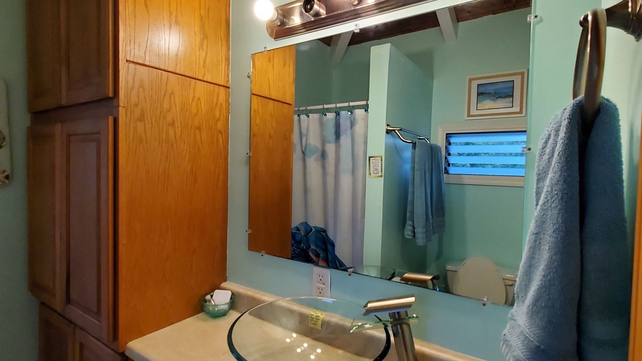 Photo of Bathroom in Mark Twain