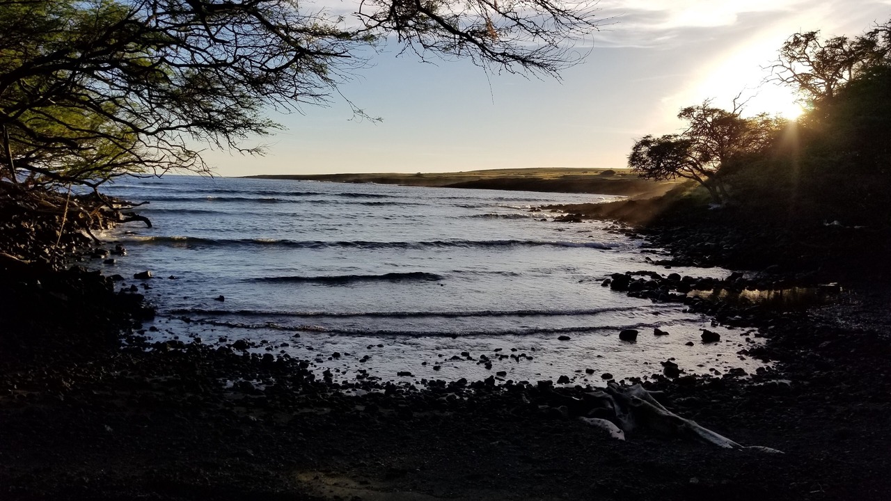 Photo of Others in Mark Twain