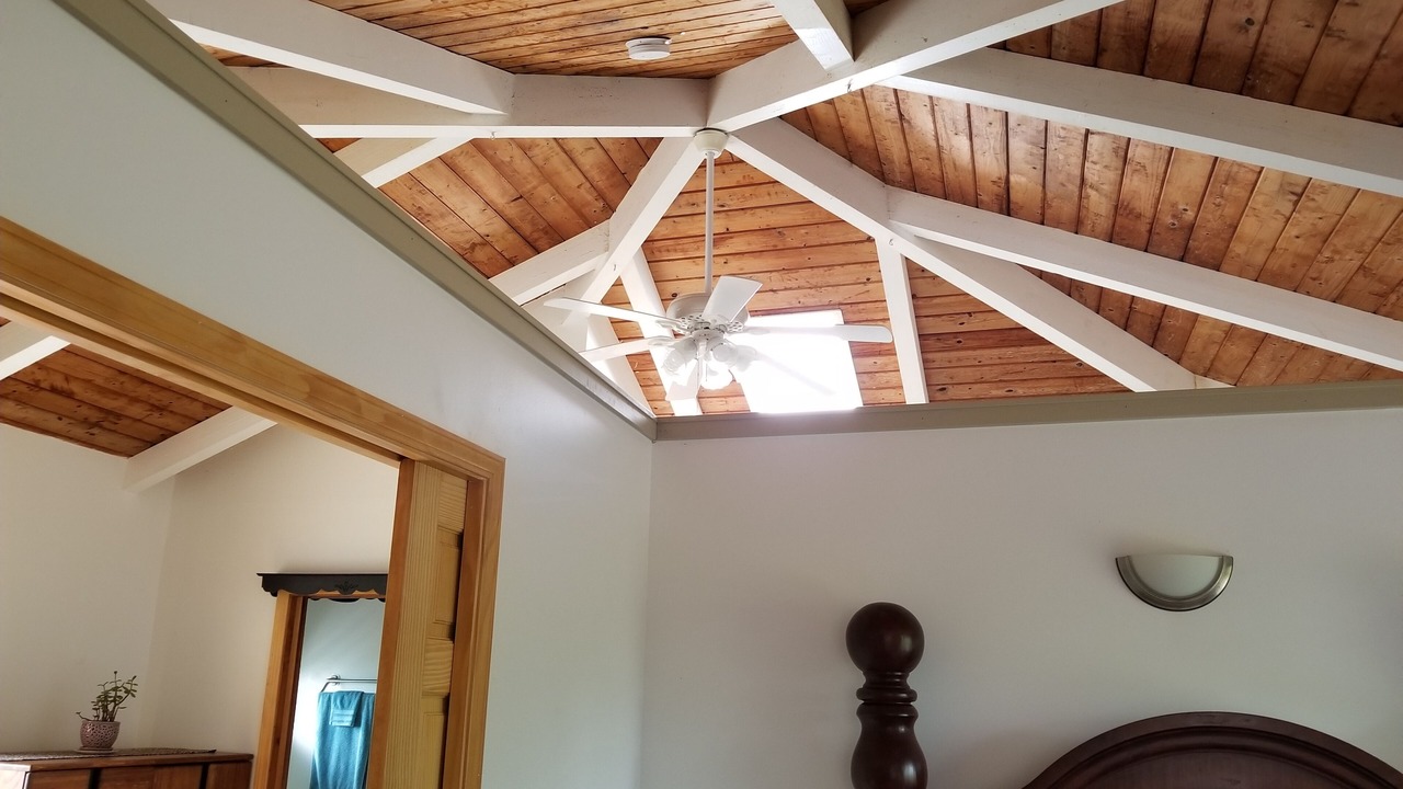 Photo of Others in Mark Twain