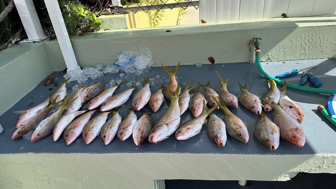 Photo of Others in Key Largo