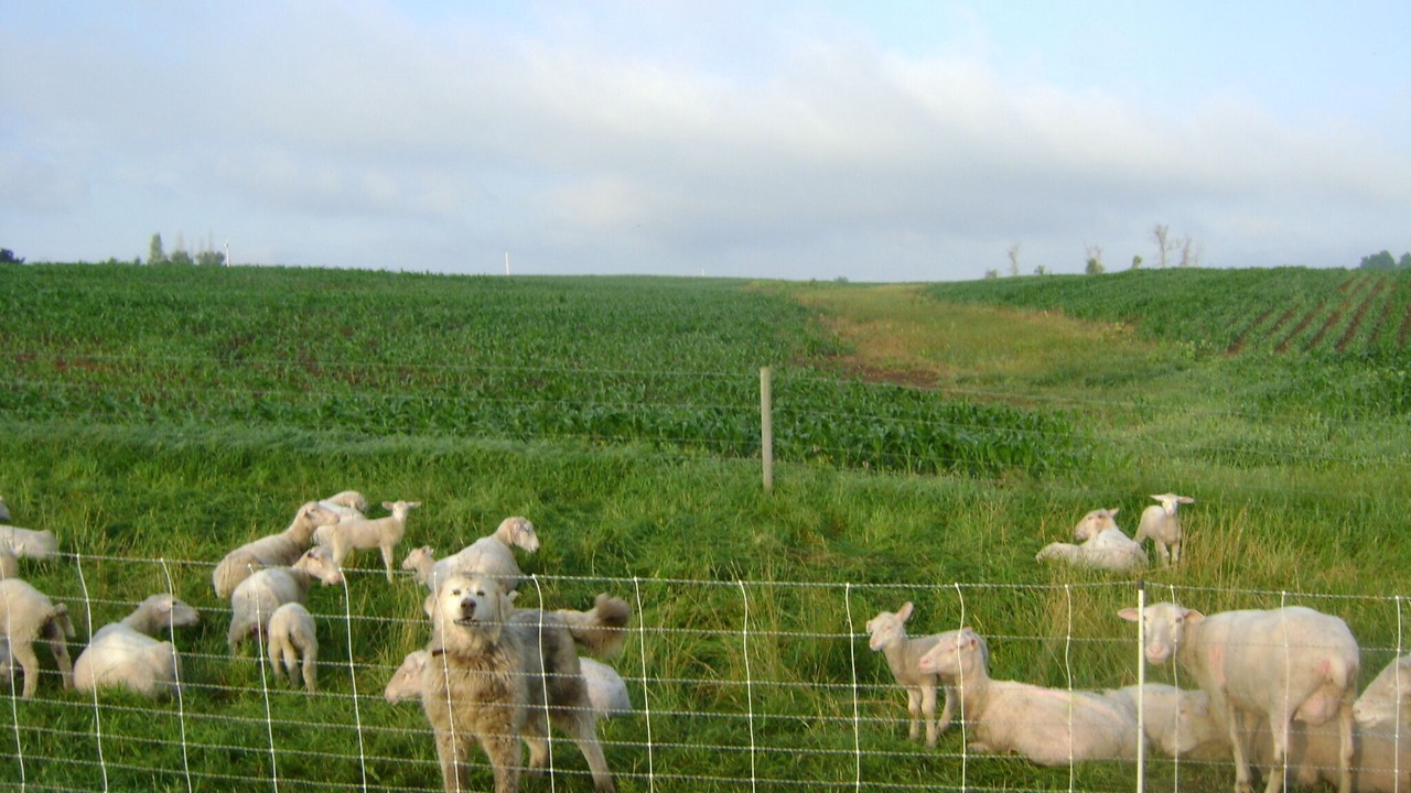 Photo of Outdoor in Fort Plain
