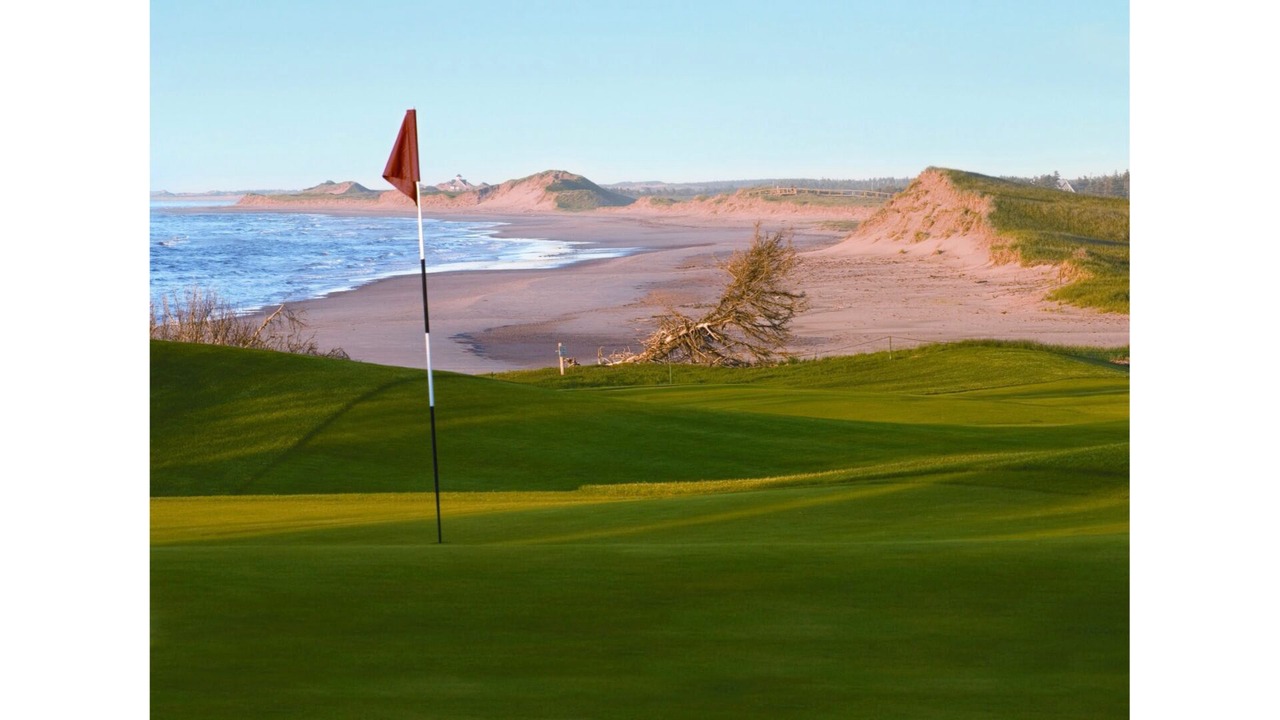 Photo of Others in Oyster Bed