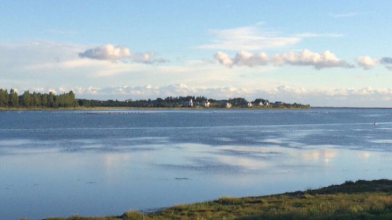 Photo of Others in Oyster Bed