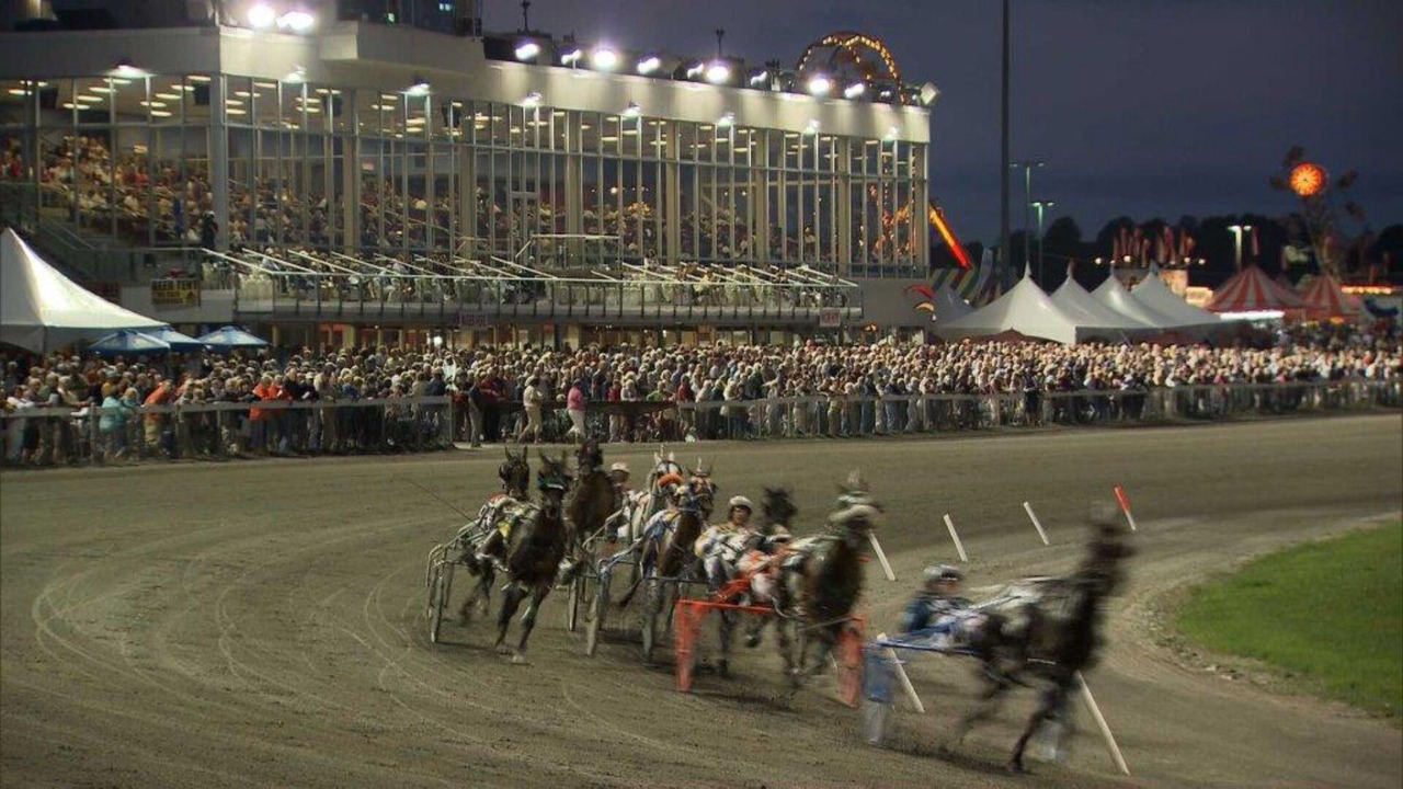 Photo of Others in Oyster Bed